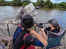 Terrifying moment hippo capsizes boat and attacks ranger who manages to cheat death as his father looks on