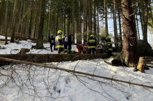 Von Baum getroffen: Forstarbeiter im steilen Gelände verletzt