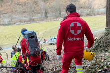 Von Baum getroffen: Verletzte mit Gebirgstrage 150 Meter abtransportiert