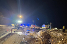 Auto gerät ins Schleudern und erfasst Steirer – Hund verendet 