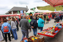 Richterin: „Feiern ist ja okay, aber das ist leider eskaliert“