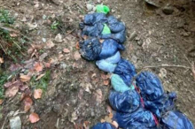 Unbekannte warfen Dutzende Müllsäcke mit Essensresten in den Wald