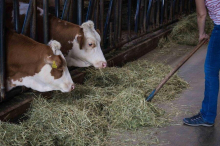 Mercosur, steigender Ölpreis, Investitionen: „Bauern massiv unter Druck“