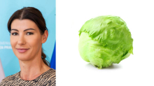 Če je Dominika Švarc Pipan še lahko ministrica, potem je ministrica lahko tudi solata