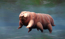 Ekstremofili pod pritiskom: Što bi se dogodilo vodenim medvjedima na Marsu?