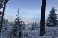 Trotz kühlem Jänner hat der Winter das Mürztal kaum besucht