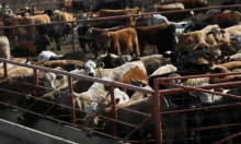 Hrvatski izvoznici u krizi zbog kaosa na Bliskom istoku: Ove industrije najviše pate