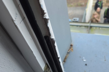 In der Nacht: Einbruch im Tierschutzhaus Arche Noah gibt Rätsel auf