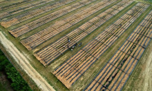 Gruntek ide preko granice: Ovako će se proširiti na Sloveniju