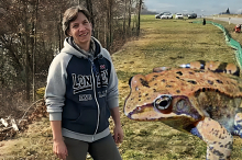 Lebensretter: So sterben weniger Frösche und Kröten auf der Straße