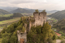 Kuriose Inserate: Wer kauft eine Burgruine samt Wald für 250.000 Euro?