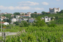 Spitzen-Gastronomen laden zu Schlachtfest in slowenischem Schloss ein