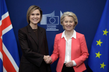 Islandija bo avgusta izvedla referendum o obnovitvi pogajanj za vstop v EU