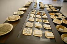 Uživanje zemlje je manj nenavadno ali ekscentrično, kot se zdi na prvi pogled