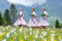 Bewerbungsstart – Narzissenhoheiten gesucht: „Erinnerungen fürs Leben“