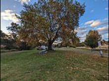 Man dead after ANOTHER alleged stabbing at a campsite in Australia