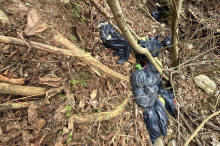 Erneut wurden in Arriach Müllsäcke mit Speiseresten im Wald entsorgt