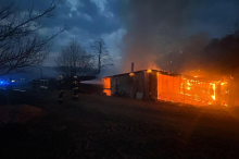 Autofahrer und Polizei bemerkten Brand, Feuerwehr rettete Zuchtvögel