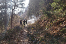 Feuerwehr-Großeinsatz wegen Waldbrand in Klagenfurt-Land