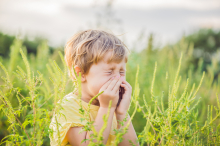 Pollen-Belastung : Experten zeigen auf: Stadt Graz setzt Bäume, die besonders allergen sind 
