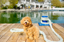 Temperaturrekord: März ist in Kärnten und Osttirol so heiß wie noch nie