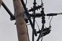 Nahe Graz: Polizisten verhinderten Waldbrand