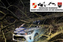 Südsteiermark: Baum stürzte auf fahrendes Auto