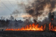 Ursache unklar: Großbrand in einem Naturschutzgebiet in Kärnten
