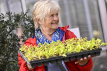 Gartensaison beginnt: Viele Hobbygärtner machen einen teuren Fehler