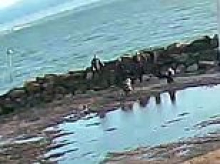 Moment mother and daughter are rescued from  waist-high quicksand as tide comes in at seaside resort