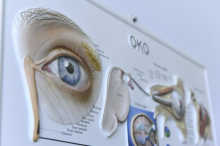 Glavkom: Tihi tat vida. Strokovnjaki opozarjajo, da pravočasno odkritje lahko upočasni potek bolezni