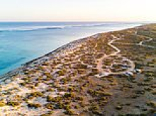 Horror as a woman is bitten by shark at Kurrajong Campground, Exmouth