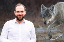 NGOs gehen mit Aufsichtsbeschwerden gegen Umweltanwalt vor