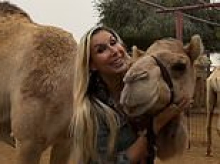 Got the hump with Dubai? Brits are offered camel hugging therapy by empty attractions desperate for tourists in 'ghost town' desert city