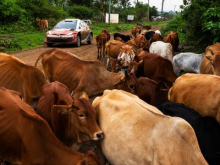 Saj ni res, pa je: v blatnem kaosu odstopili prvi trije #video