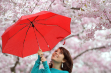 Regen im Anmarsch: Wetter wird unbeständiger und kühler