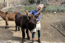 Mit Esel durch Europa: „Der Esel öffnet die Herzen der Menschen“