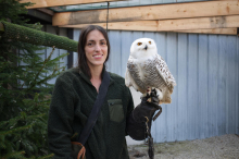 Falknerei: „Bei uns ist das Tier Kaiser und der Besucher König“