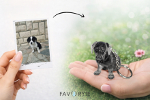 Iz ene fotografije do kipca vašega ljubljenčka: novost, ki je prišla na slovenski trg