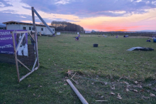 Lenker flüchtet vor Polizei und fährt auf belebten Hundetrainingsplatz