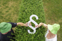 Hecke zu kurz geschnitten: Nachbarn trafen sich vor Gericht wieder