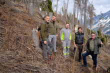 Nach Sturm und Borkenkäfer: Mölltal investiert in Aufforstung