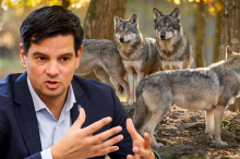 Geharnischte Kritik von FPÖ-Landesrat nach Beschwerden über Umweltanwalt