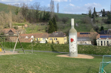 Amerikanische Rebzikade gefährdet Weinbau: „In Klöch brennt der Hut“