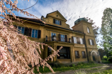 Gutenbuchel v rokah občine Šoštanj: 