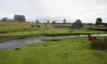 Je li čuveno nalazište puno mlađe nego što se mislilo?