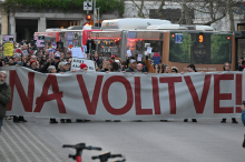 Pozivi k udeležbi na volitvah na protestnem shodu 