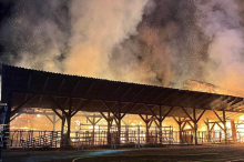 Zwei Tiere verenden: Stall in Vollbrand: 180 Feuerwehrleute im Einsatz