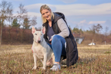Schon jeder fünfte Hund leidet an einer Pollenallergie
