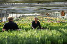 Gärtnerei in der Hochsaison: „Je bunter Beet und Garten, desto besser“